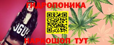 наркотики Камышлов
